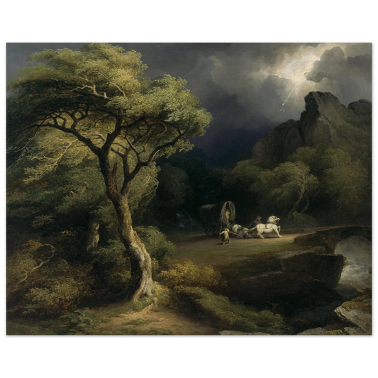 8e65e396-a490-4159-b51f-37fbd0a0cc4e