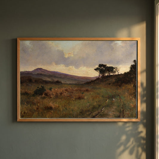 Castletownshend, County Cork framed print in a natural oak frame on a dark green wall beside a window, dappled plant shadow