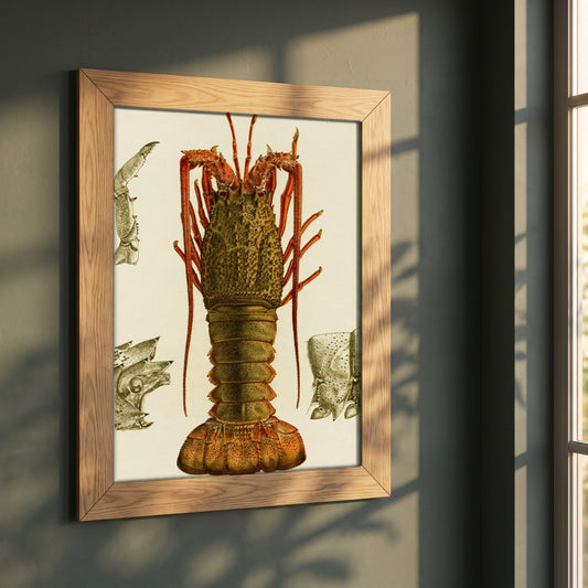 Crustacea I by Frederick McCoy framed print in a natural oak frame on a dark green wall beside a window, dappled plant shadow