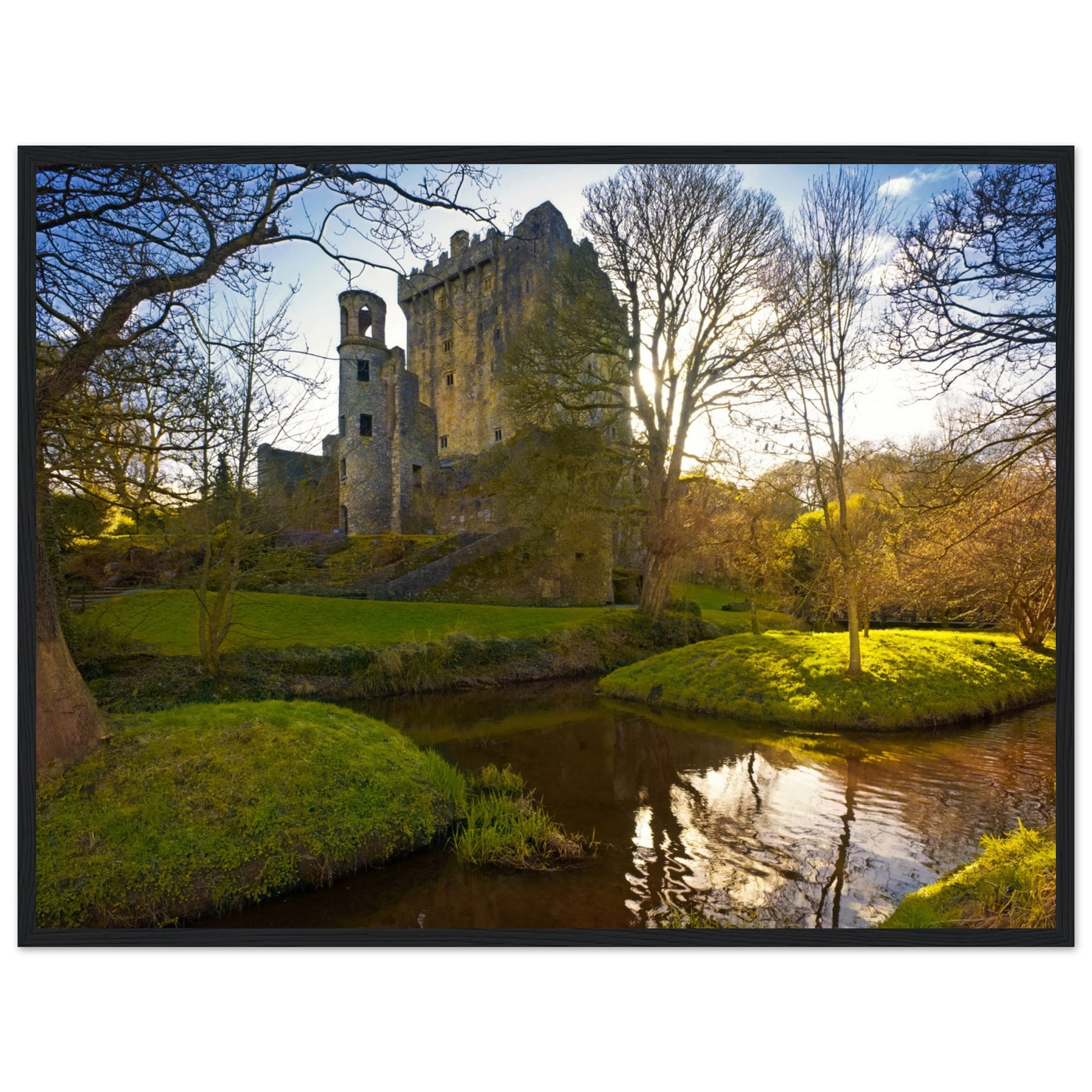 Framed print of Blarney Castle, capturing its enchanting beauty and historic charm. The iconic Irish fortress, home to the legendary Blarney Stone, is depicted in vibrant detail, offering a glimpse of its lush surroundings and timeless architecture.