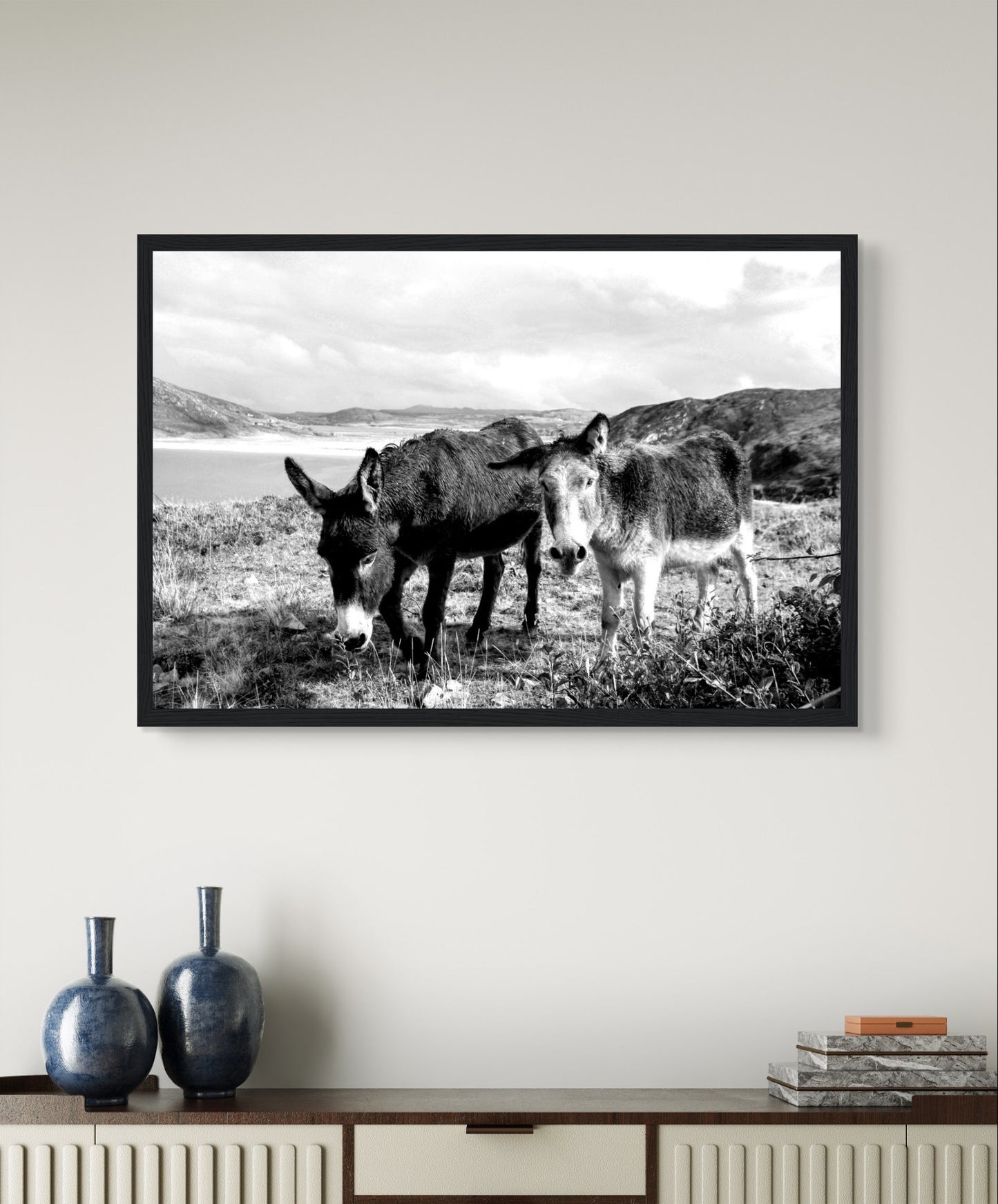 Black and white photo: Two serene Donkeys in rural Donegal, Ireland. They stand against a backdrop of lush countryside, embodying tranquility and rustic charm.