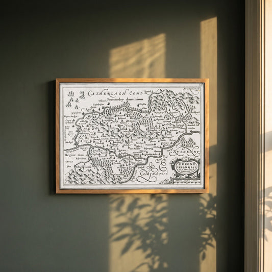 Barony of Idrone, County Carlow c.1600 Map by Van den Keere Print framed print in a natural oak frame on a dark green wall beside a window, dappled plant shadow
