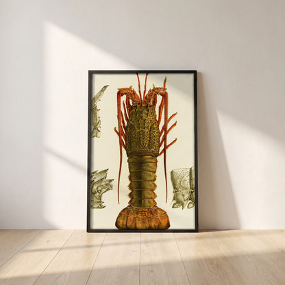 Crustacea I by Frederick McCoy framed print in a black frame leaning against a white plaster wall on oak floorboards in morning light