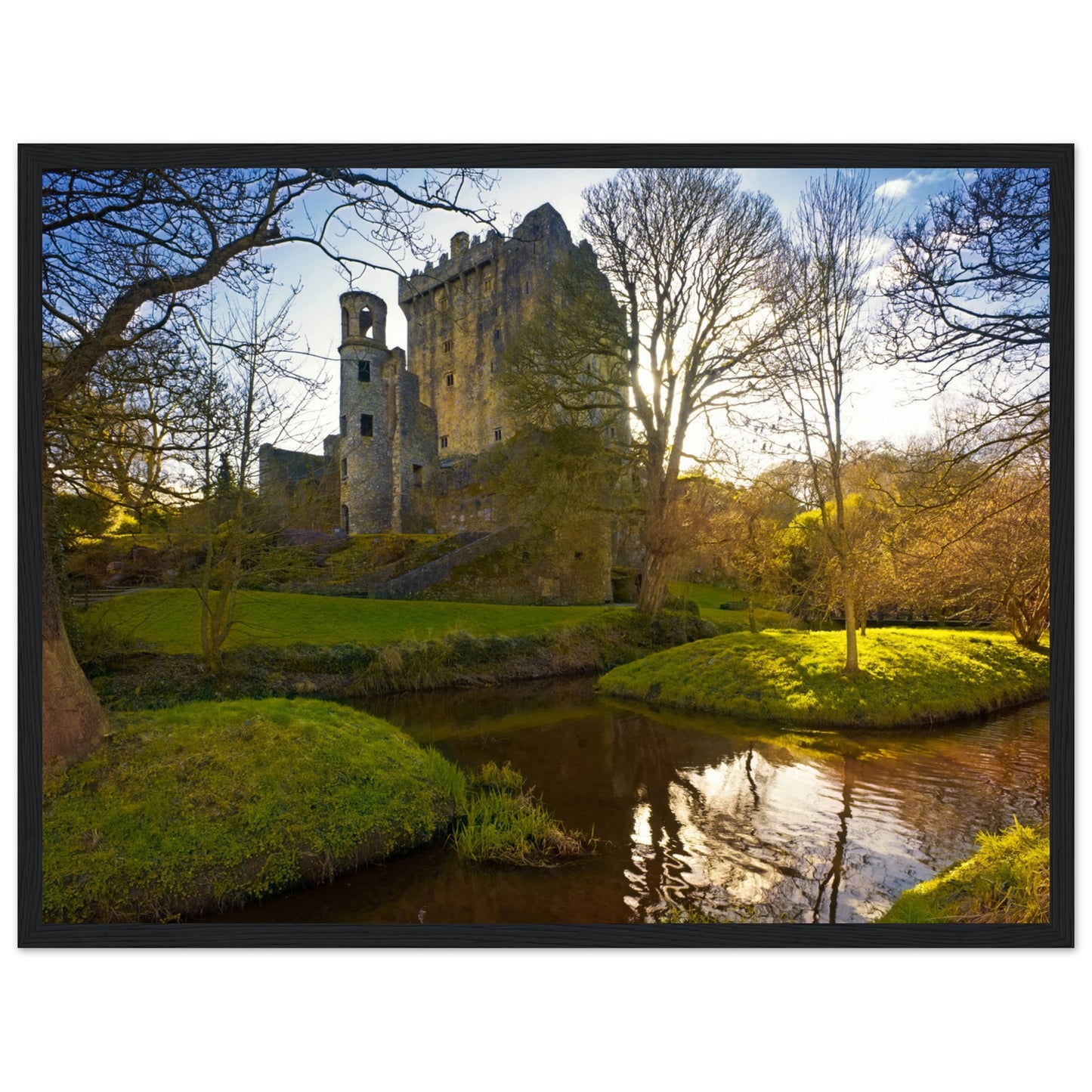 Blarney Castle framed print: Iconic Irish fortress, home to Blarney Stone. Meticulously crafted, transports you to historic grounds where myths intertwine. Delightful addition to home decor, bringing Ireland's spirit. Immerse in Blarney Castle's magic.