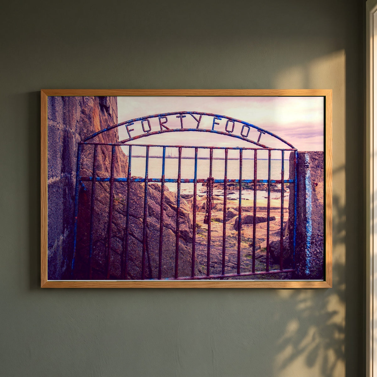 Forty Foot Gate Swimming Sandycove framed print in a natural oak frame on a dark green wall beside a window, dappled plant shadow
