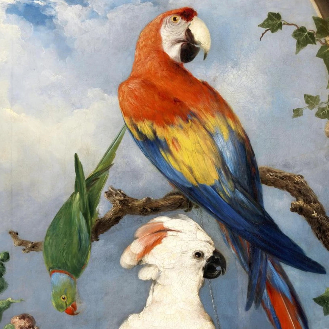 Alt: Close-up detail of Paroquets by Edward Henry Murphy showing feather and colour detail