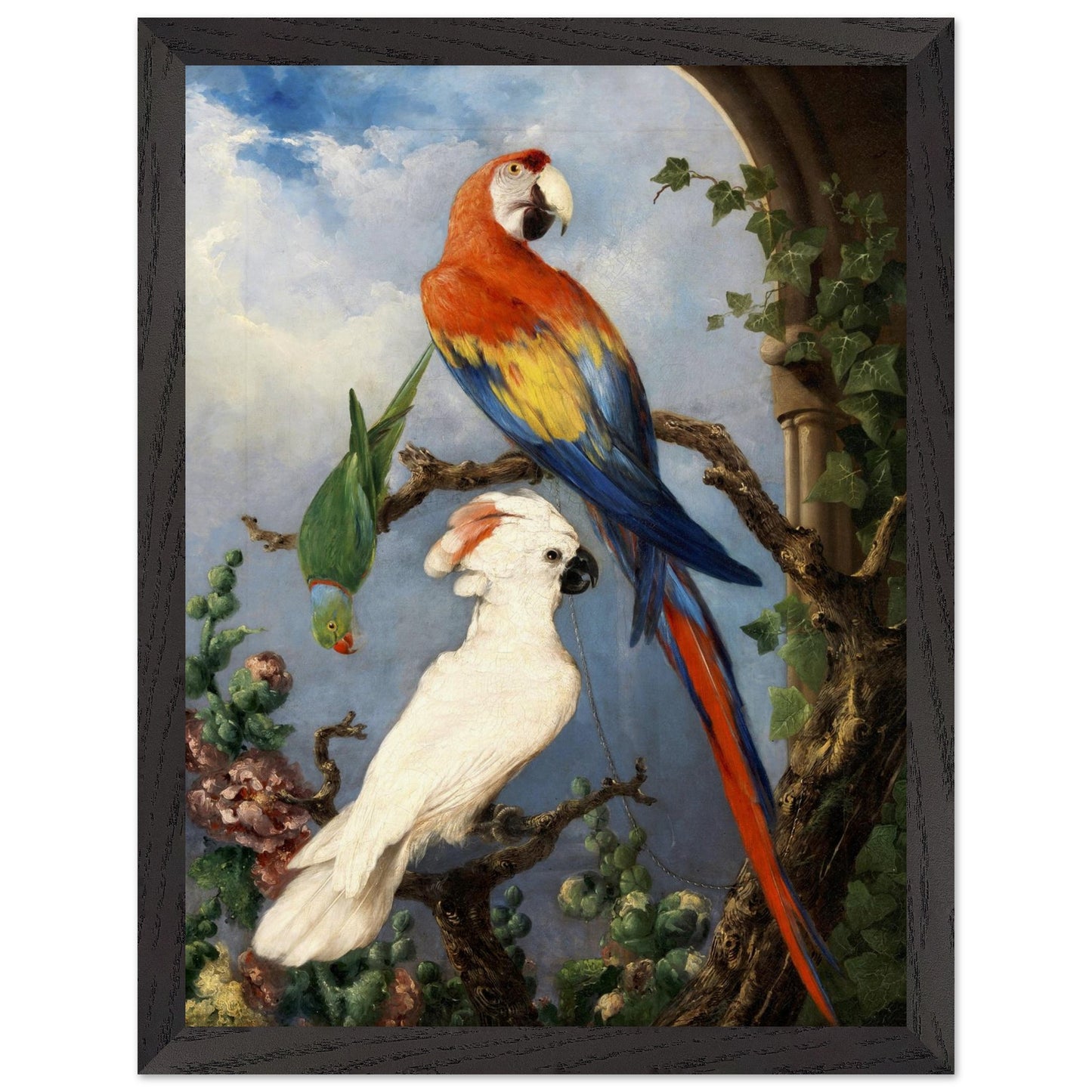 Paroquets Edward Henry Murphy framed art print in black frame