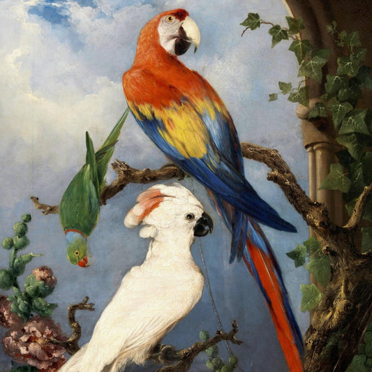 Paroquets by Edward Henry Murphy archival giclée art print