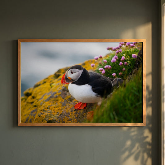 Puffin framed print in a natural oak frame on a dark green wall beside a window, dappled plant shadow