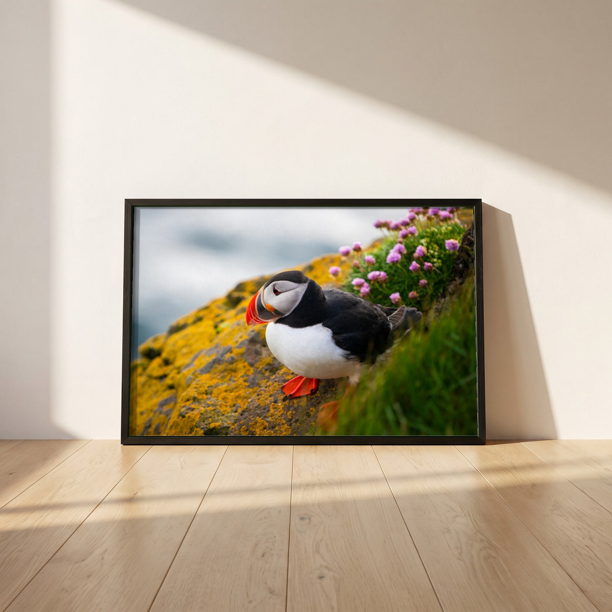 Puffin framed print in a black frame leaning against a white plaster wall on oak floorboards in morning light